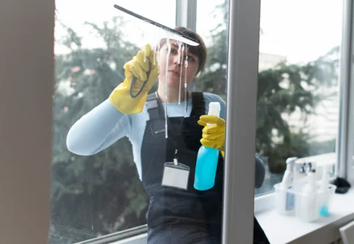 Nettoyage de vitres intérieures et extérieures à l'Absie